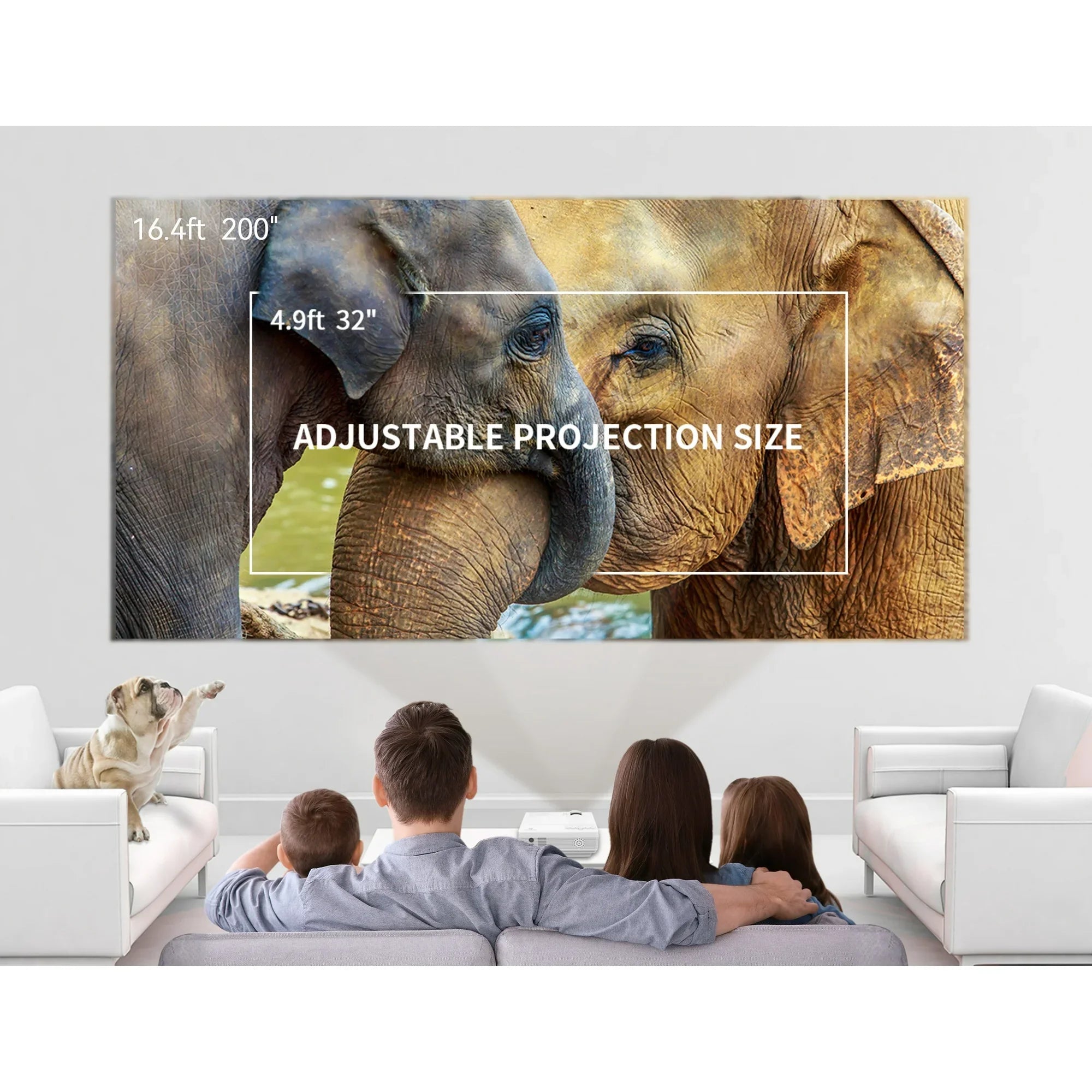 VANKYO Leisure 3 Mini Projector