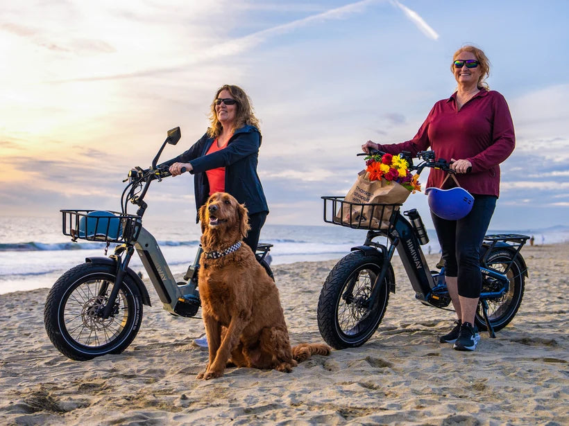 Himiway D5 2.0 20" eBike